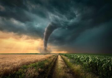 Dream About Taking Shelter From Tornado: 12 Powerful Meanings